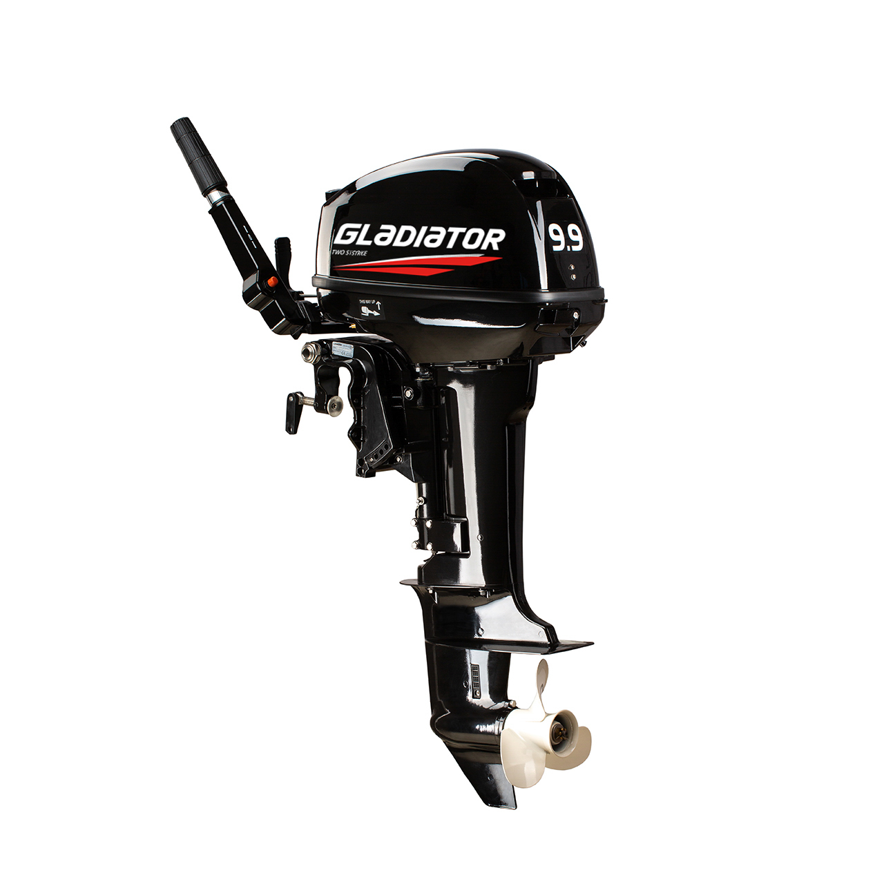 ЛОДОЧНЫЙ МОТОР GLADIATOR G9.9FHS в Домодедово