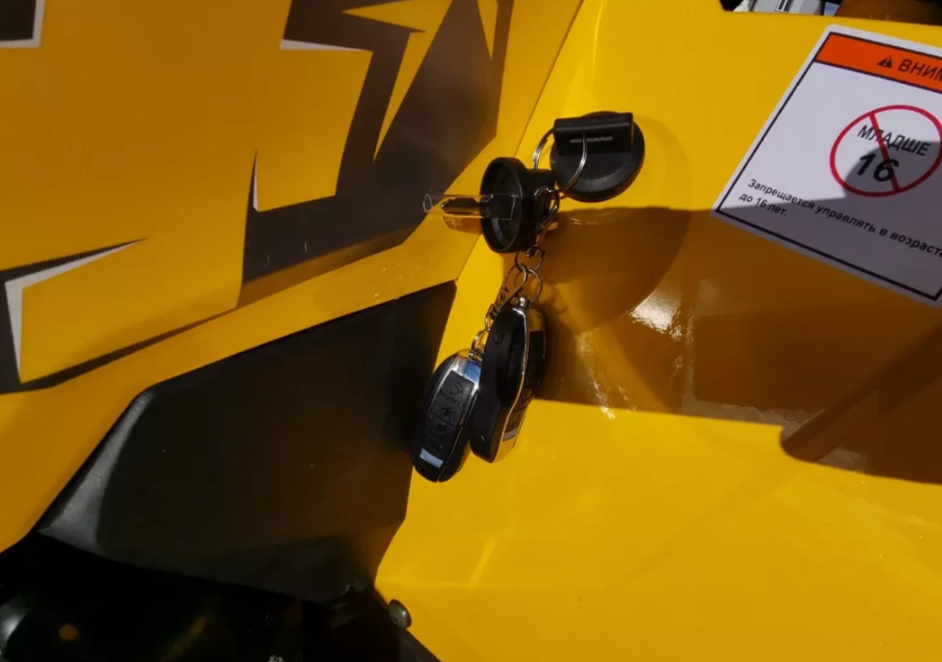 Квадроцикл MOTOLAND (МОТОЛЕНД) VOX200 WILD TRACK X PRO (баланс. вал) в Домодедово