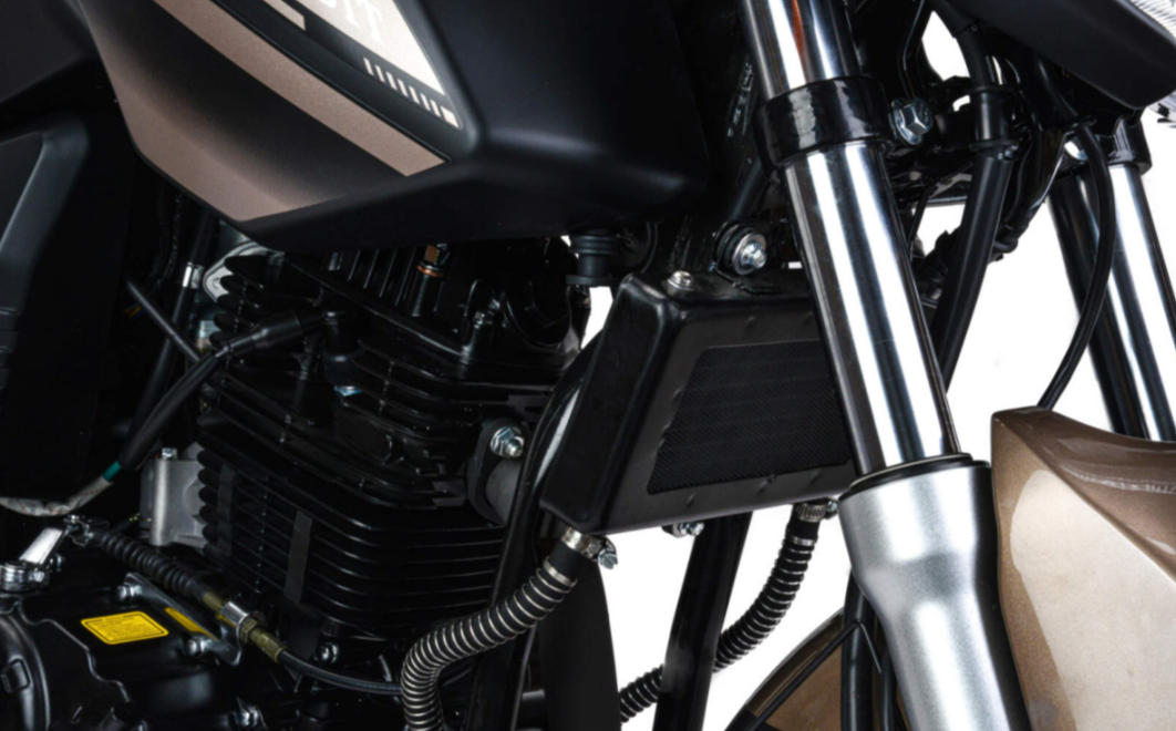 Мотоцикл MOTOLAND (МОТОЛЕНД) 300 BANDIT в Домодедово