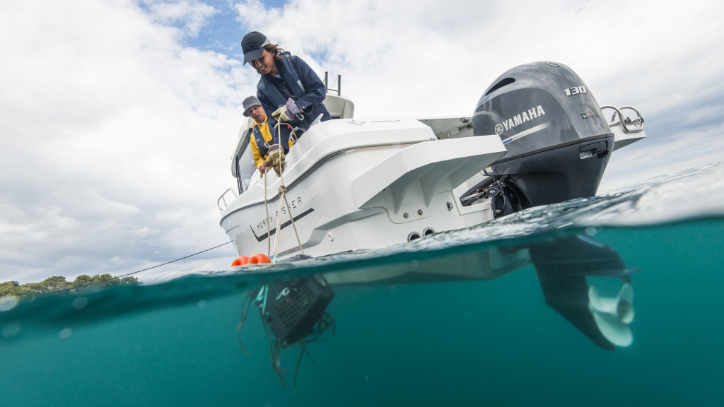 ЛОДОЧНЫЙ МОТОР YAMAHA F130 AETX в Домодедово