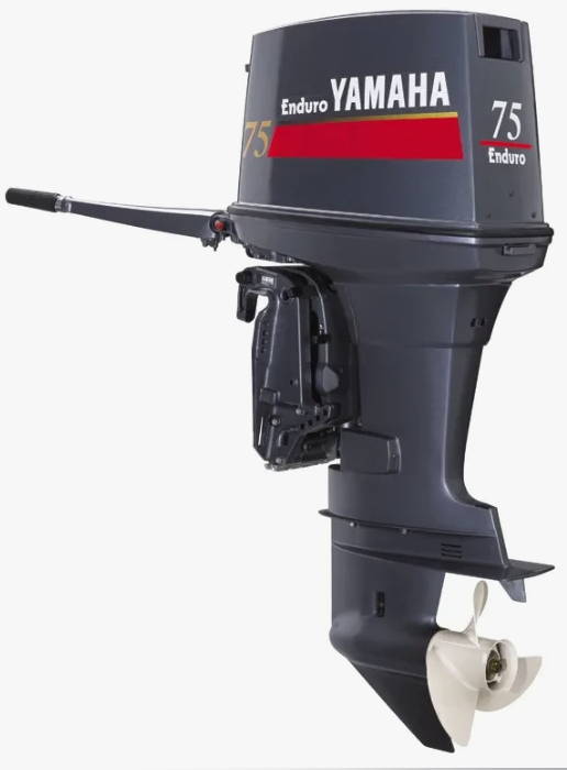 Лодочный мотор YAMAHA E75BMHDL в Домодедово