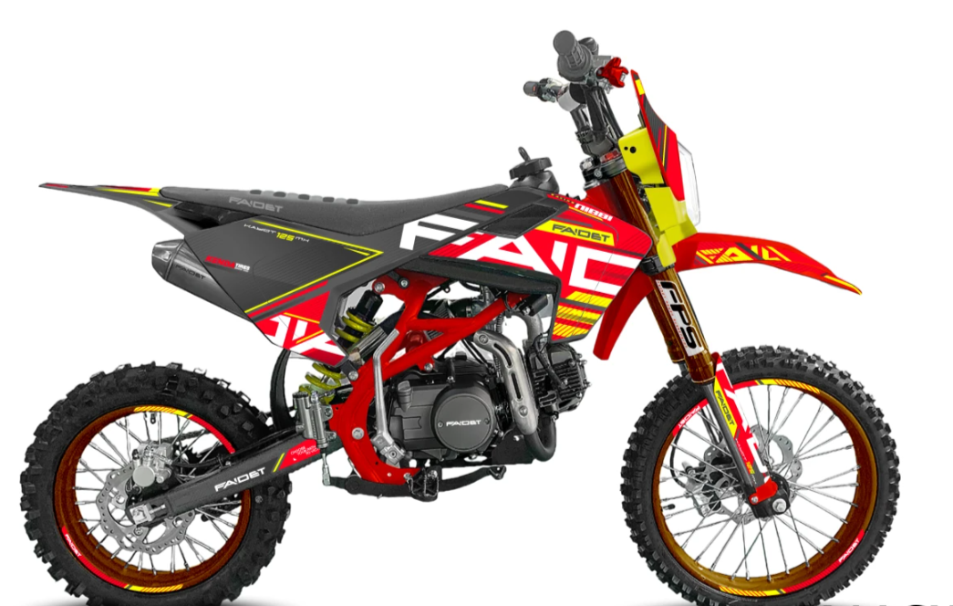 Питбайк FAIDET KAYOT 150E-PRO 19/16 в Домодедово