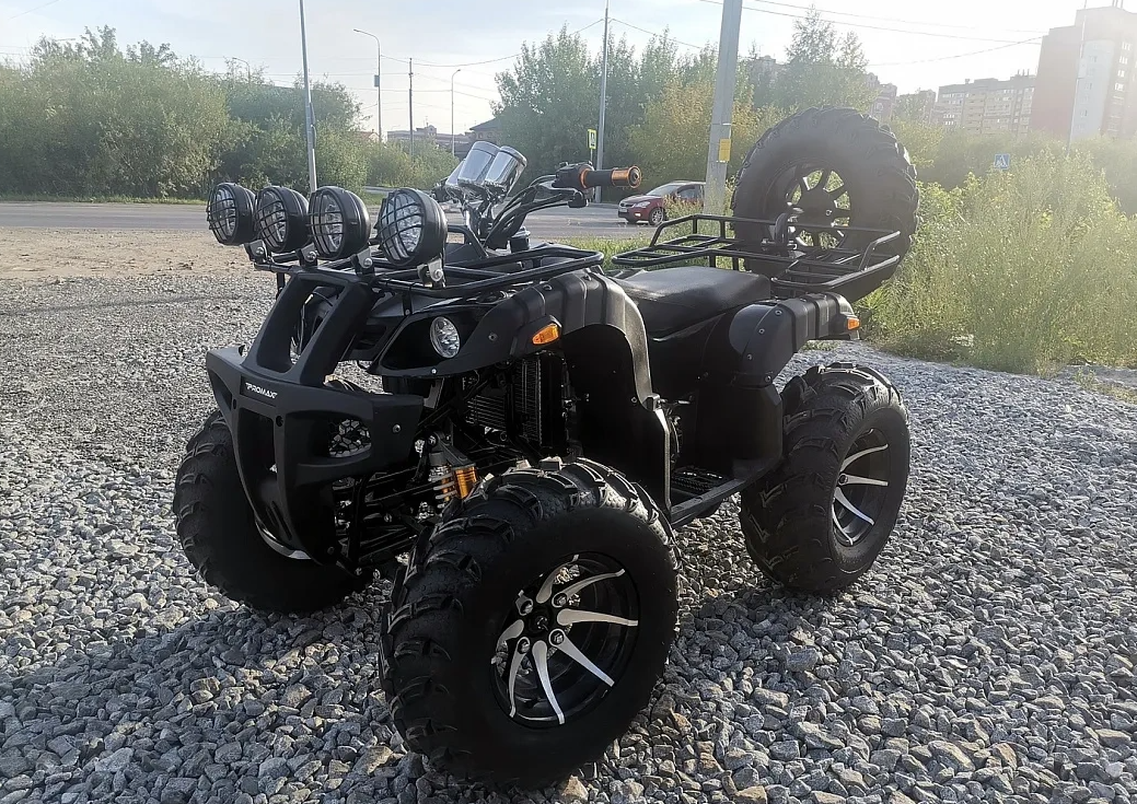 Квадроцикл PROMAX LEO 300 Max (кардан) в Домодедово