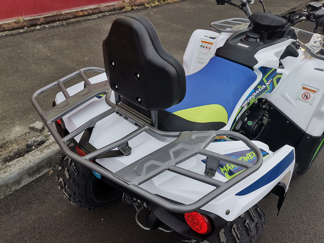 Квадроцикл PROMAX RENEGADE 280 LUX (2025) в Домодедово