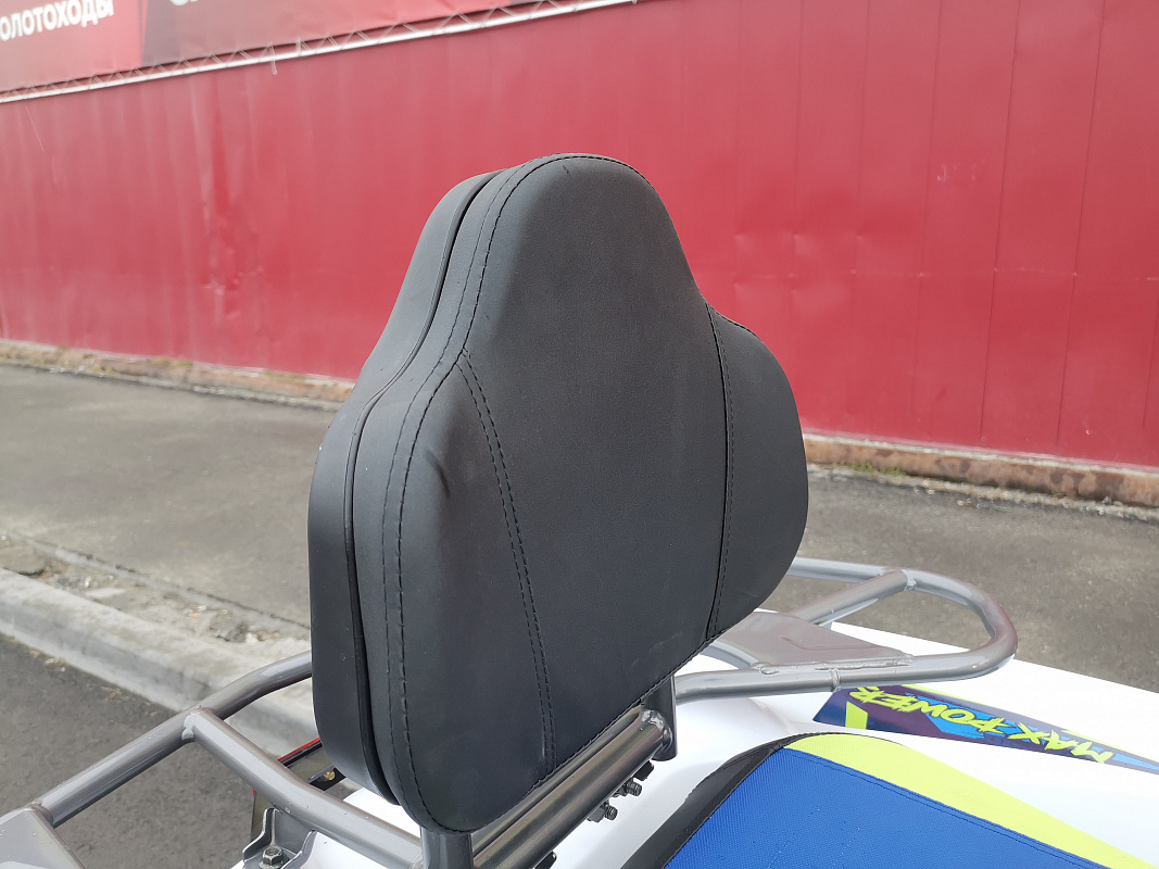 Квадроцикл PROMAX RENEGADE 280 LUX (2025) в Домодедово