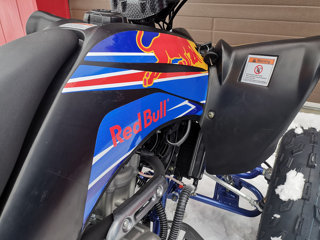 Квадроцикл PROMAX RAPTOR 300 NEW RedBull в Домодедово