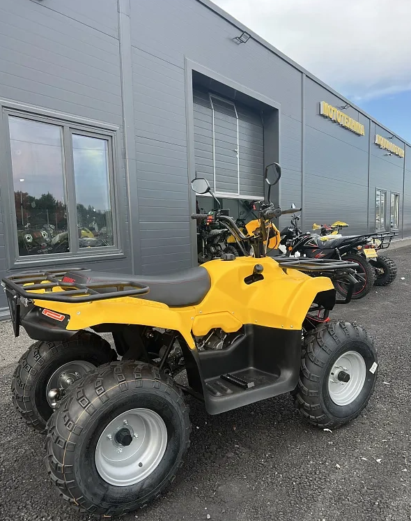 КВАДРОЦИКЛ IRBIS ATV 250  в Домодедово