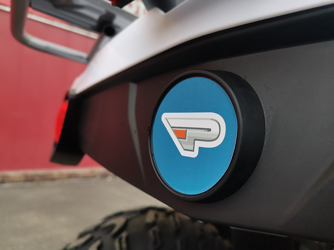 Квадроцикл PROMAX RENEGADE 280 LUX (2025) в Домодедово