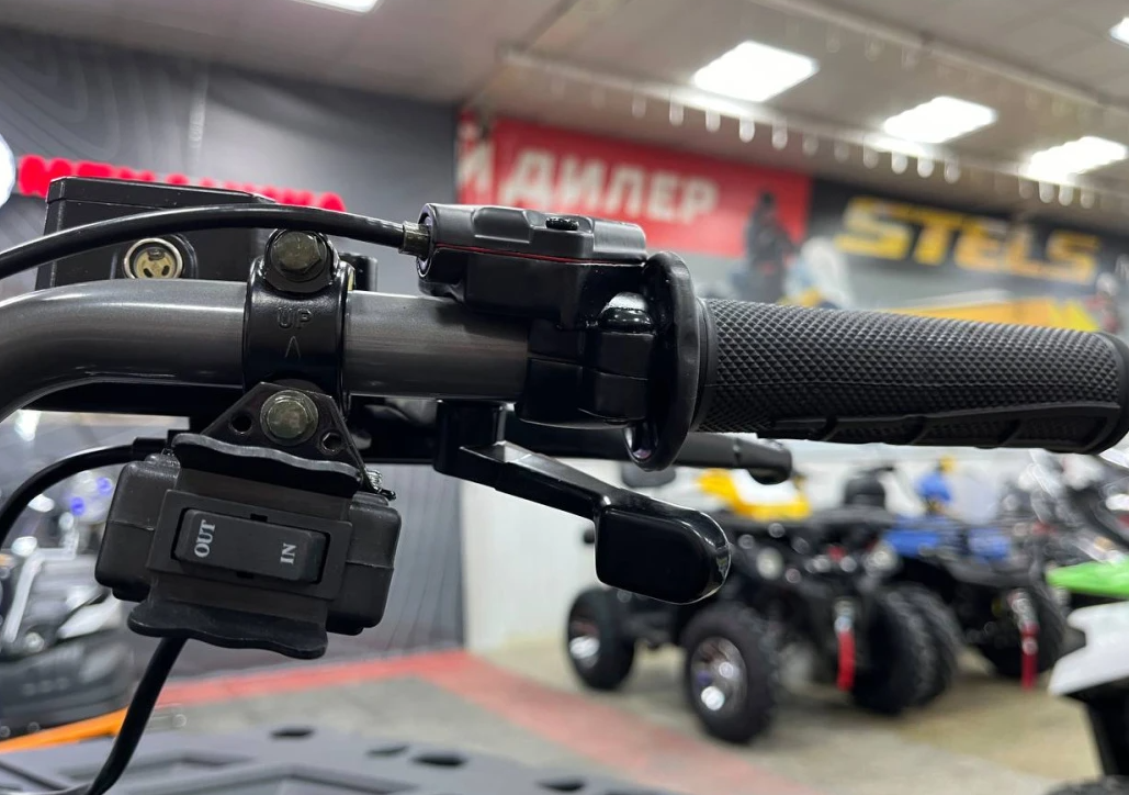 Квадроцикл PROMAX RENEGADE 300 LONG WINCH PRO (2025) в Домодедово