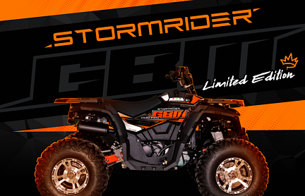 Квадроцикл GBM STORMRIDER 320 NEW LUX в Домодедово