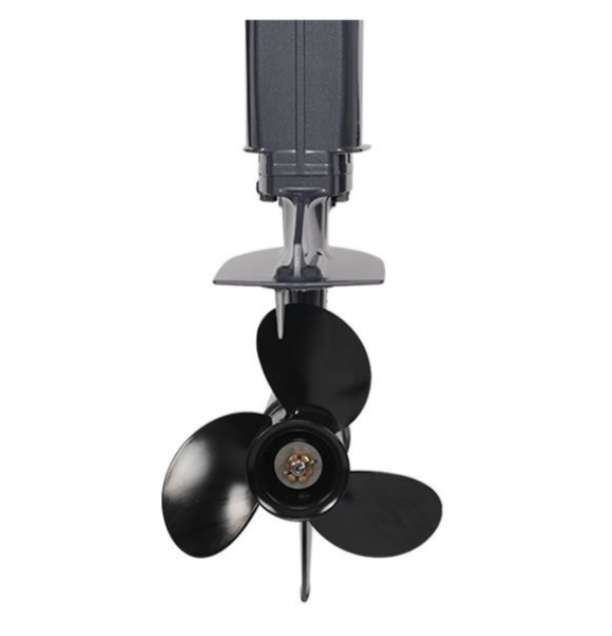 Лодочный мотор ALLFA CG Т40FW S в Домодедово