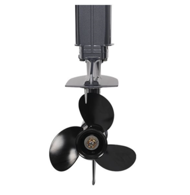 Лодочный мотор ALLFA CG Т40FWT S в Домодедово