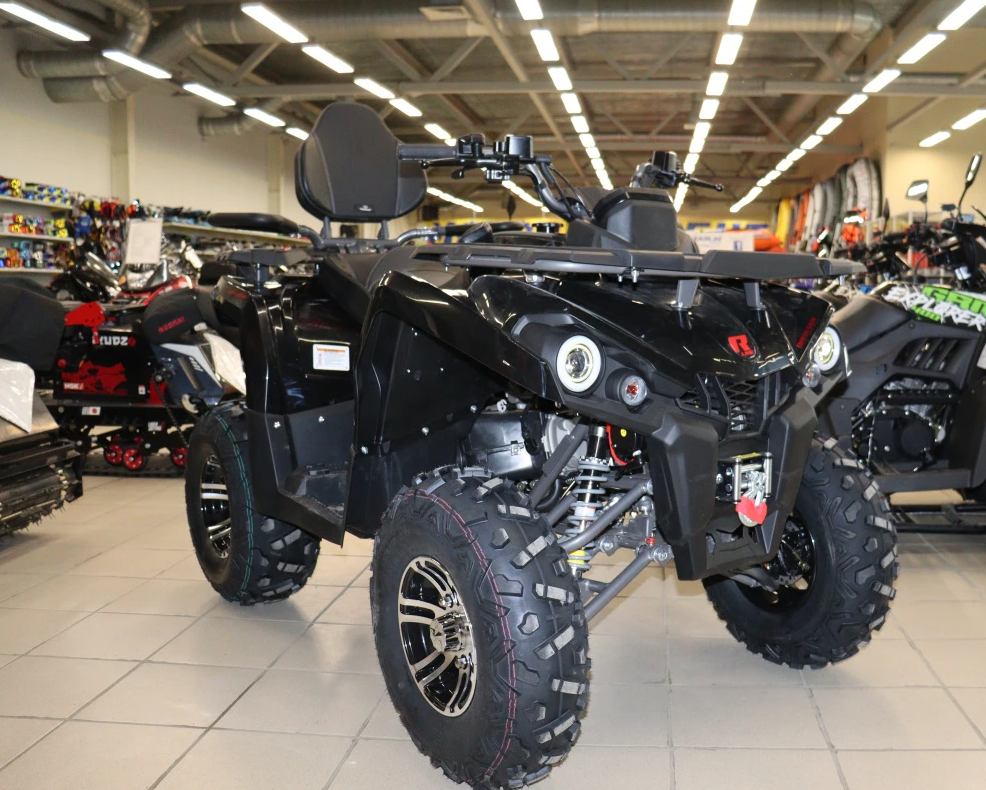 Квадроцикл PROMAX RENEGADE 300 LONG WINCH PRO (2025) в Домодедово