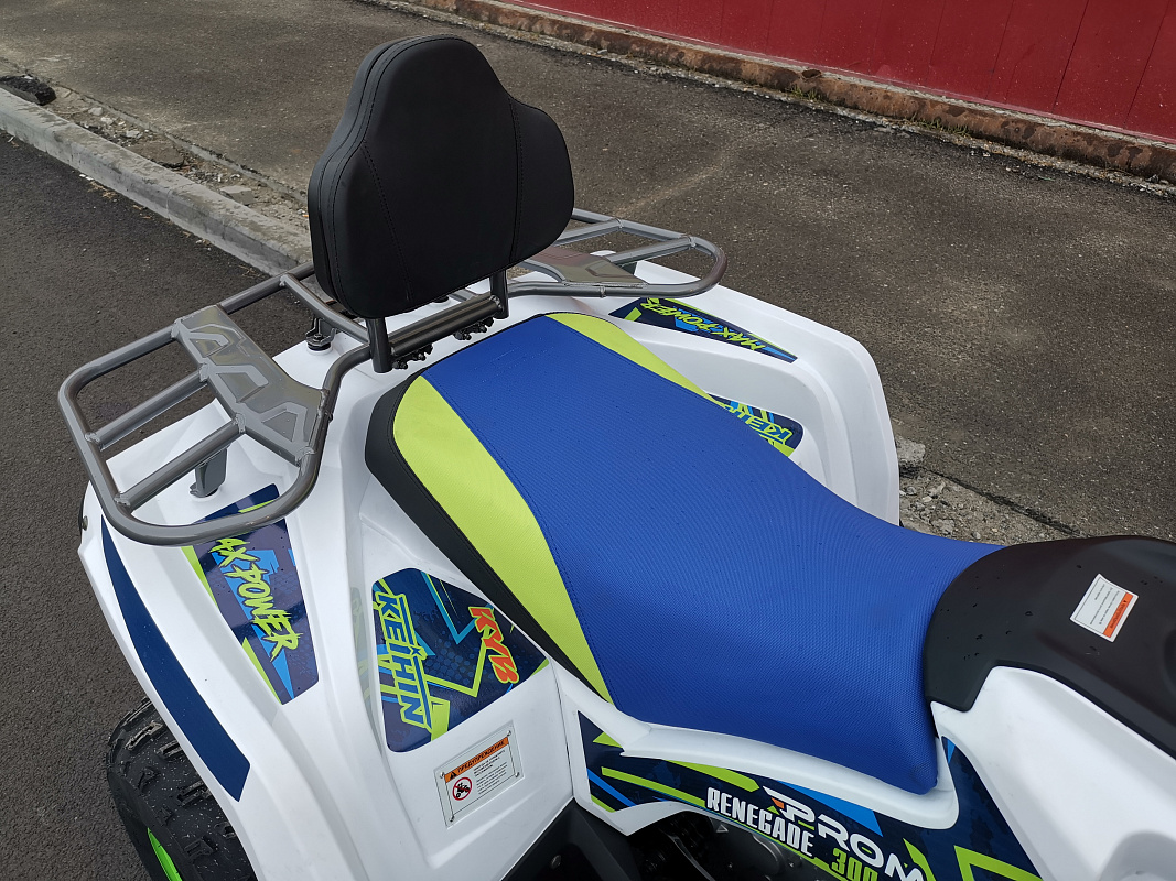 Квадроцикл PROMAX RENEGADE 280 LUX (2025) в Домодедово