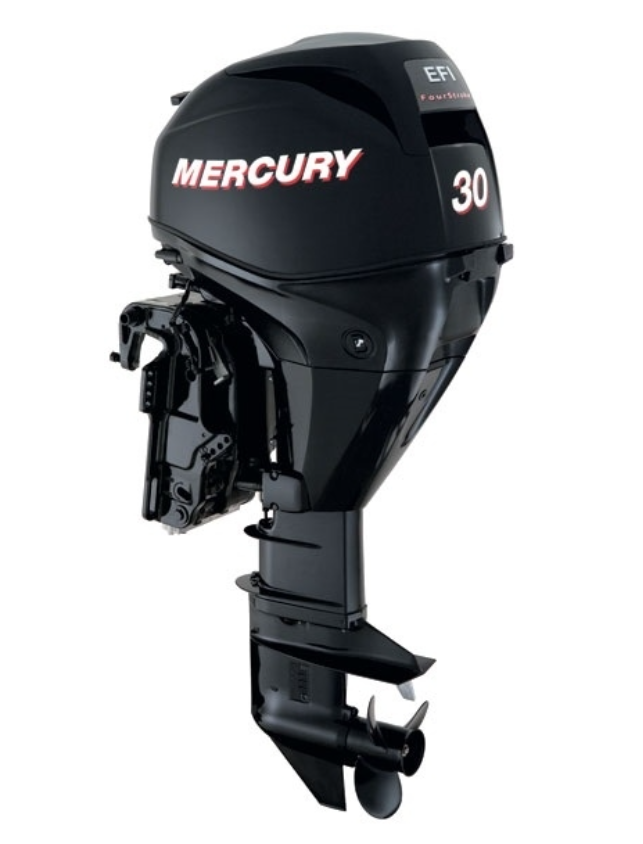 ЛОДОЧНЫЙ МОТОР MERCURY  F 30 ELH GA EFI в Домодедово