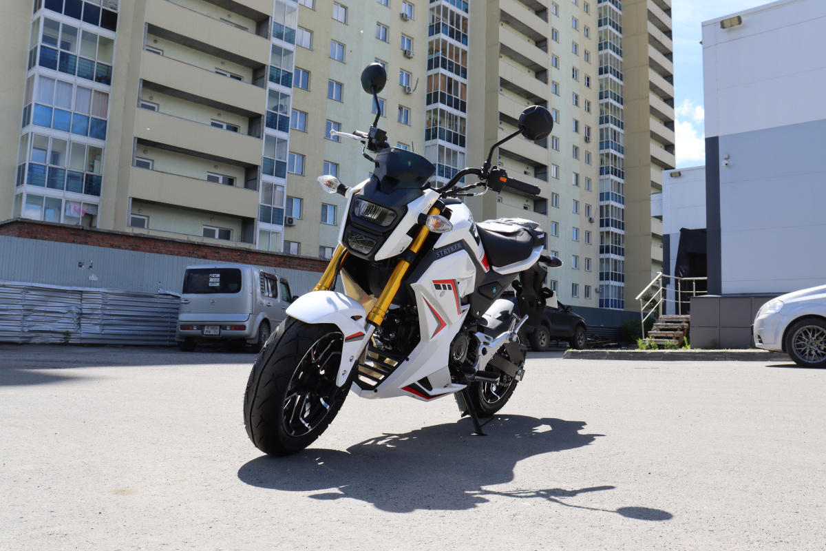 Мотоцикл PROMAX STRYKER 200(49) 2.0 в Домодедово