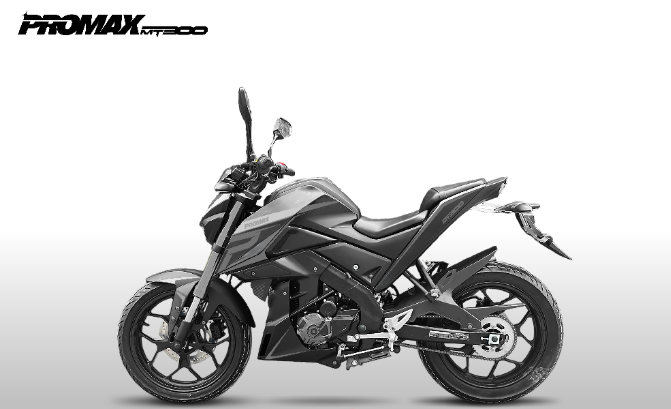 Мотоцикл PROMAX MT300 в Домодедово