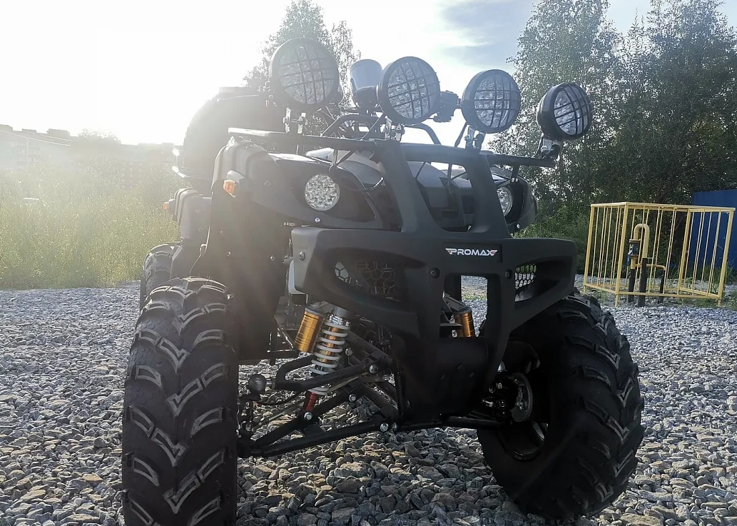 Квадроцикл PROMAX LEO 300 Max (кардан) в Домодедово
