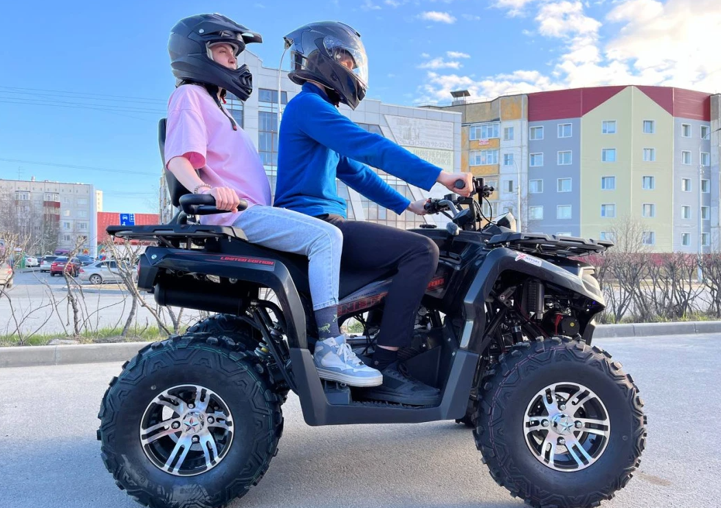 Квадроцикл PROMAX RENEGADE 300 LONG WINCH PRO (2025) в Домодедово