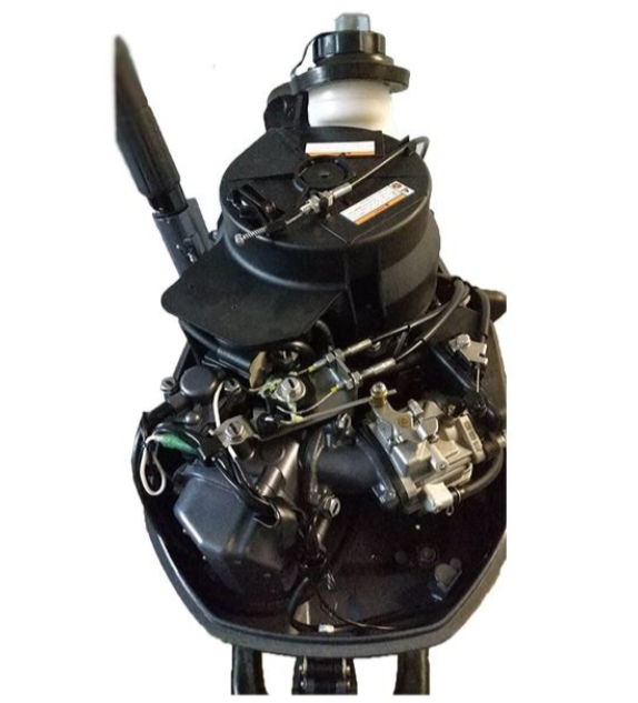 Лодочный мотор ALLFA CG F6 в Домодедово