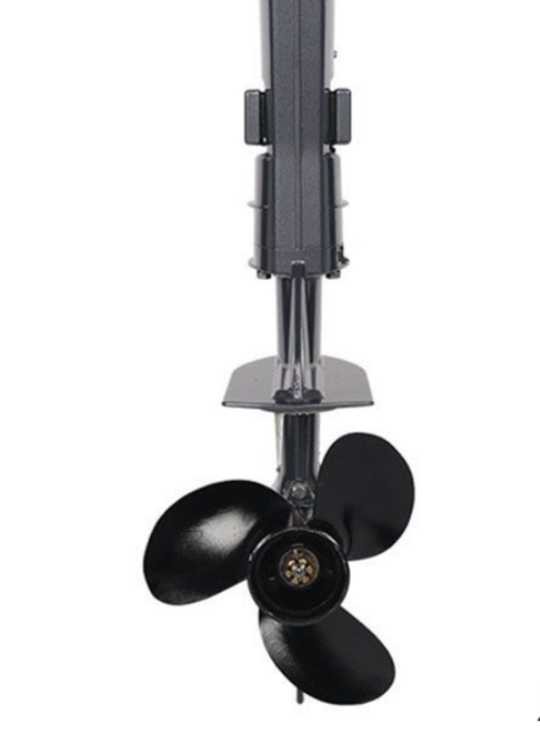 Лодочный мотор ALLFA T2,6S в Домодедово