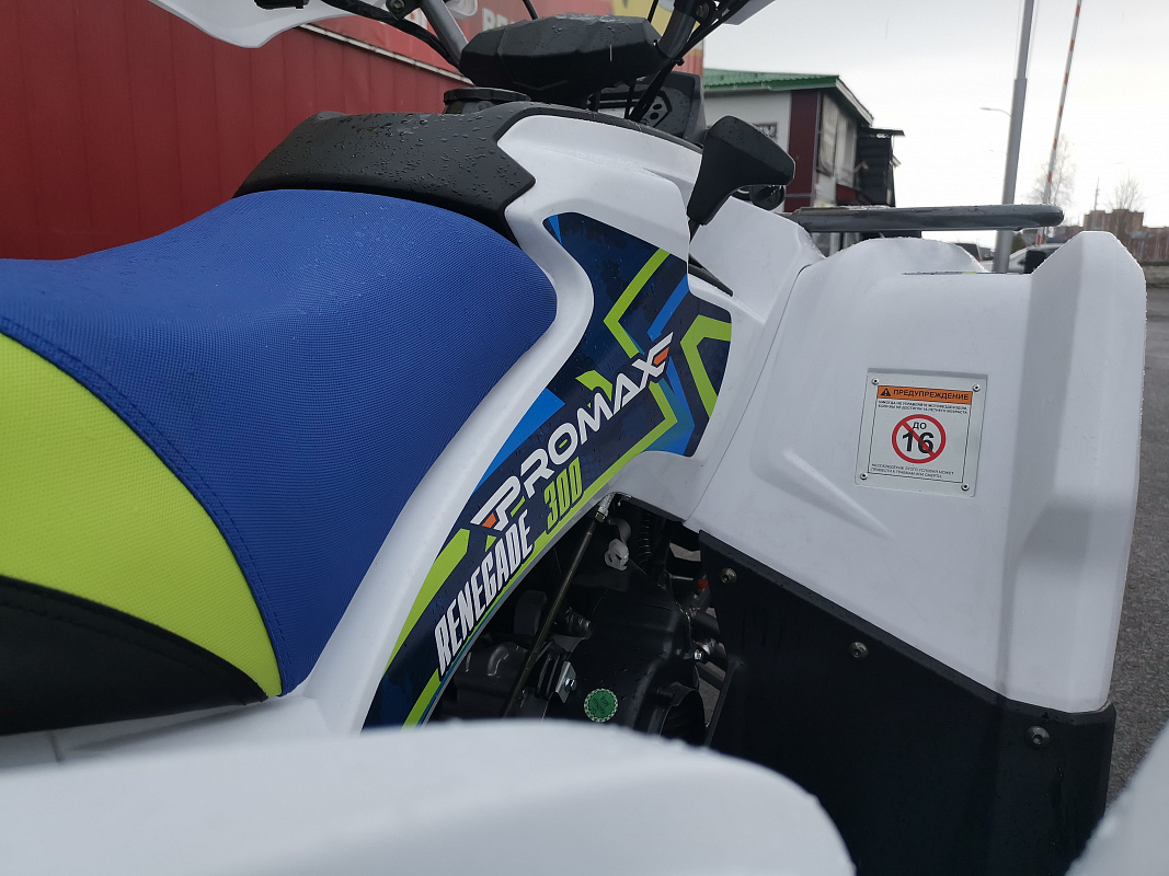 Квадроцикл PROMAX RENEGADE 280 LUX (2025) в Домодедово