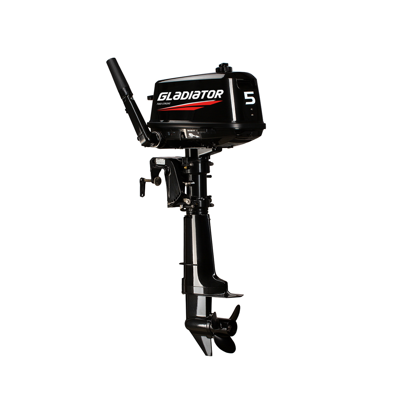 ЛОДОЧНЫЙ МОТОР GLADIATOR G5FHS в Домодедово