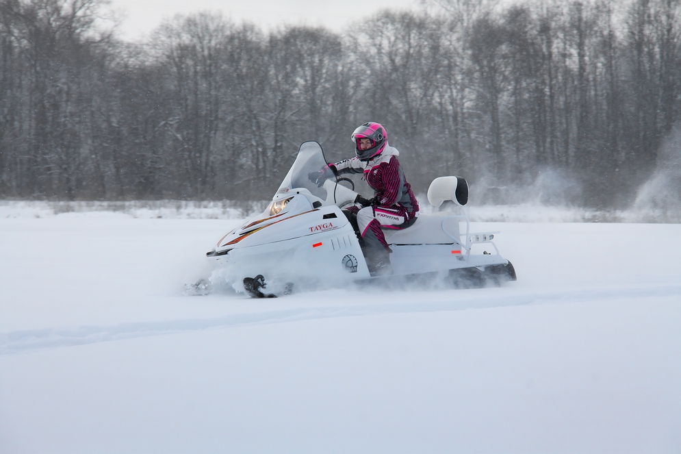 Снегоход Русская механика РМ TAYGA PATRUL 551 SWT в Домодедово