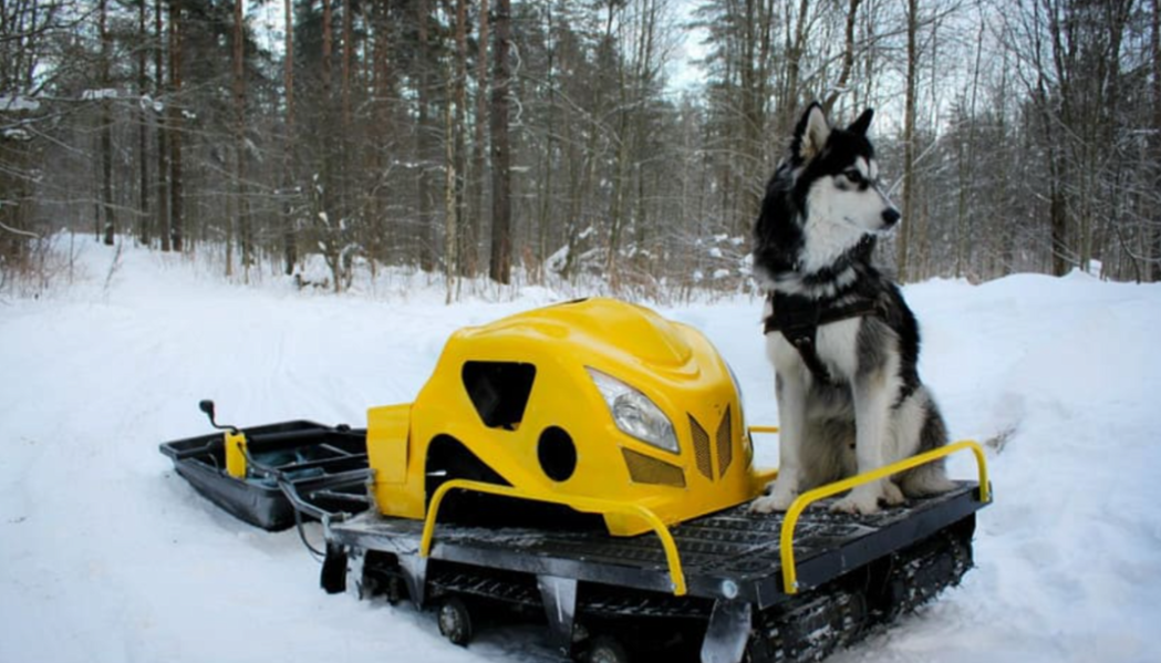 Мотобуксировщик LEBEDEV MOTORS ВОЛКОДАВ POWER V13 в Домодедово