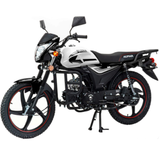 Мопед MOTOLAND (МОТОЛЕНД) Альфа RS 11 (LM48-B) в Домодедово