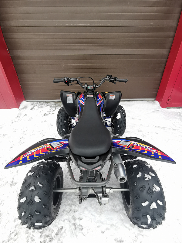 Квадроцикл PROMAX RAPTOR 300 NEW RedBull в Домодедово