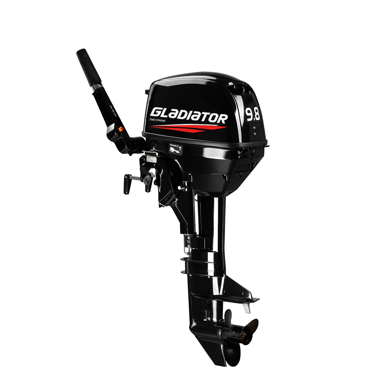 ЛОДОЧНЫЙ МОТОР GLADIATOR G9.8FHS в Домодедово