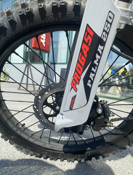 Мотоцикл Progasi PALMA 300 NEW (CB300F) в Домодедово