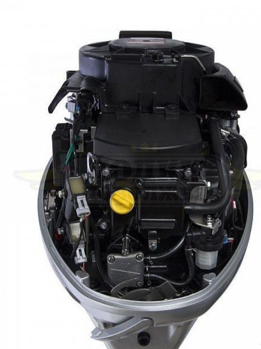 Лодочный мотор SEANOVO SNEF30FEL-EFI в Домодедово