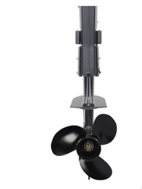 Лодочный мотор ALLFA CG F6 в Домодедово