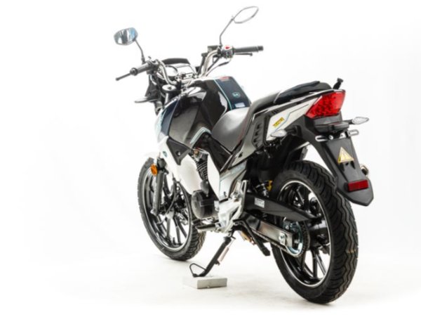 Мотоцикл MOTOLAND (МОТОЛЕНД) FIGHTER 250 в Домодедово