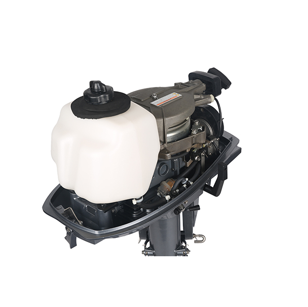 ЛОДОЧНЫЙ МОТОР ALLFA CG T5 в Домодедово