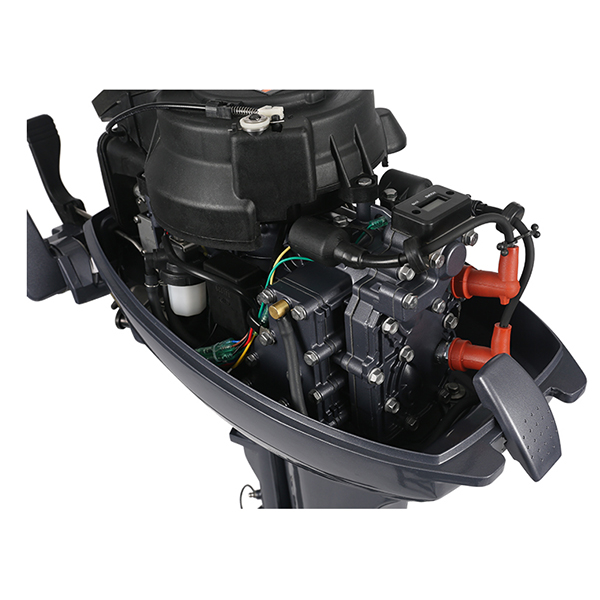 ЛОДОЧНЫЙ МОТОР ALLFA CG Т9,9 Limit в Домодедово