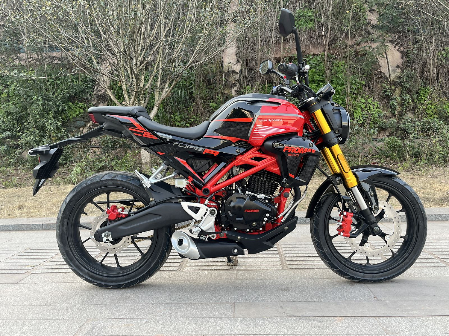 Мотоцикл PROMAX CB300 в Домодедово