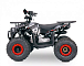 Квадроцикл YACOTA SIRIUS 110 в Домодедово