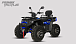 Квадроцикл PROMAX TAURUS 300 MAX-PRO LONG в Домодедово