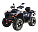 Квадроцикл MOTOLAND (МОТОЛЕНД) 300 MAX X в Домодедово