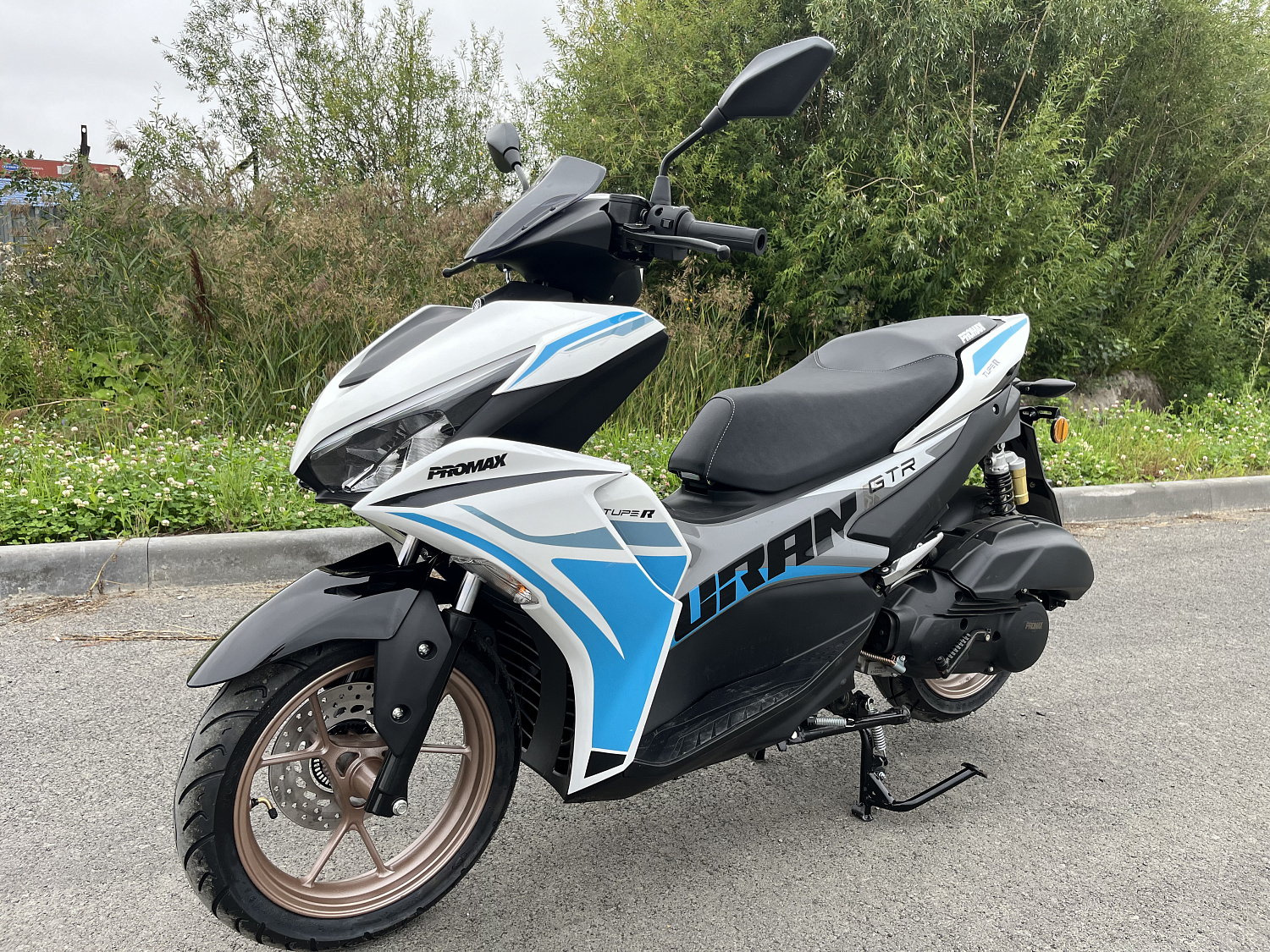 Скутер PROMAX TURAN 250 (49) в Домодедово