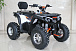 Квадроцикл GBM STORMRIDER 320 PREMIUM в Домодедово