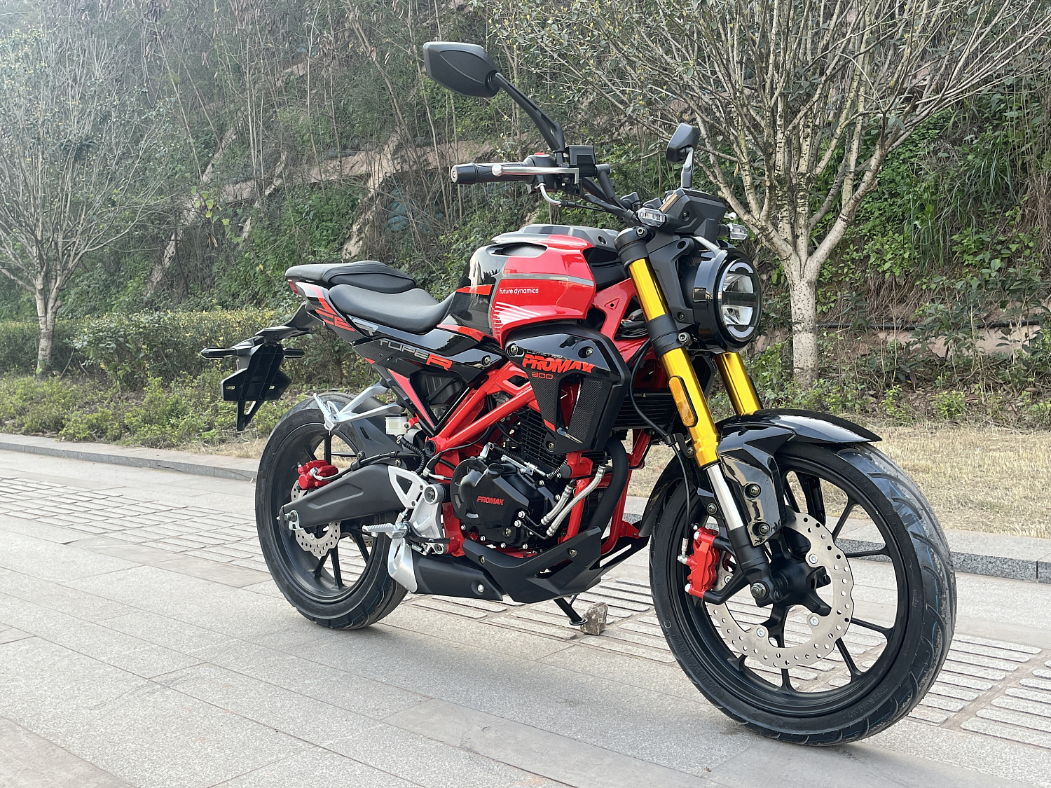 Мотоцикл PROMAX CB300 в Домодедово