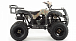 Квадроцикл MOTOLAND (МОТОЛЕНД) 200 ALL ROAD в Домодедово