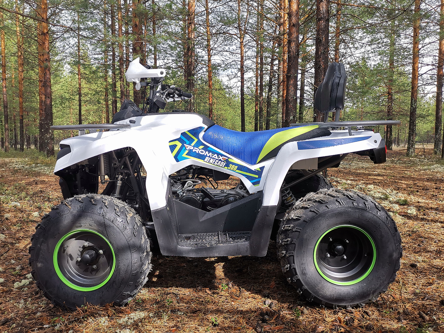 Квадроцикл PROMAX RENEGADE 280 (2025) в Домодедово