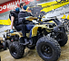 Квадроцикл PROMAX ATV 250 (2025) в Домодедово