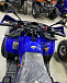 Квадроцикл PROMAX WILD 2.0 190 PRO (2025) в Домодедово