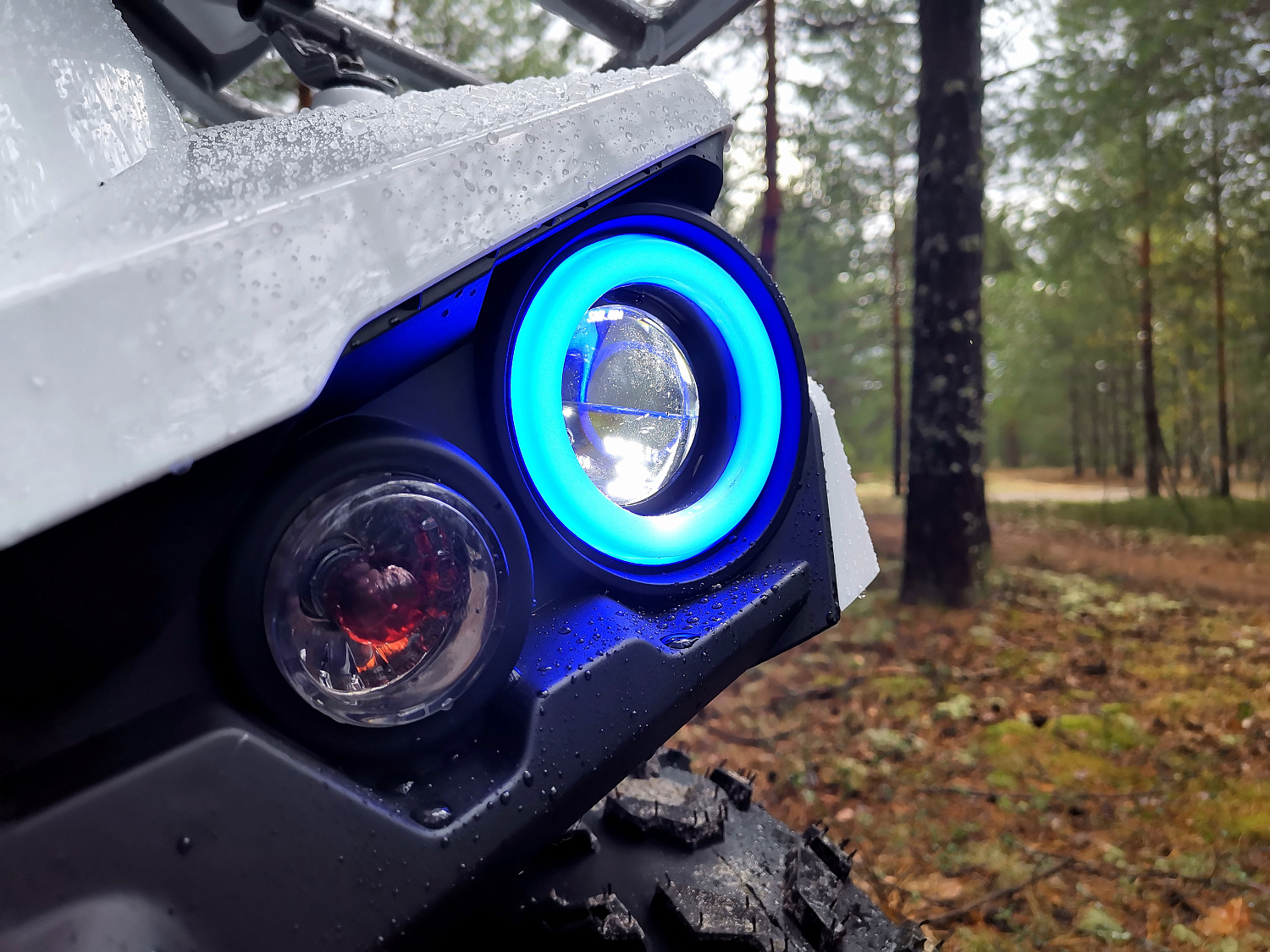 Квадроцикл PROMAX RENEGADE 280 (2025) в Домодедово